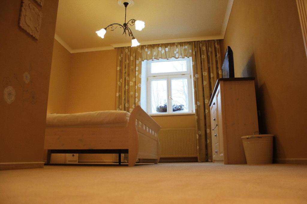 Hotel Pansky Dum ノヴェー・ムニェスト・ナ・モラヴィエ 部屋 写真